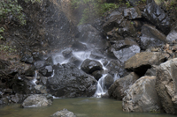 Pool at Pine Canyon Pour Off Big Bend NP